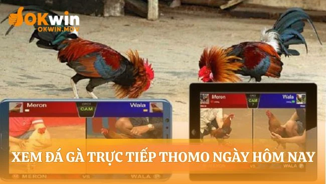 Ba cú nhấp chuột mở ra đấu trường kịch tính