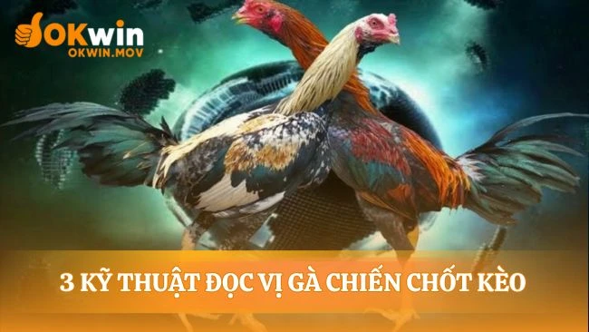 Soi tướng gà chiến trong đá gà trực tiếp trên mạng