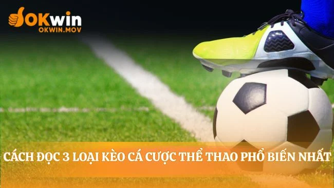 Giải mã ngôn ngữ của những con số biết nói