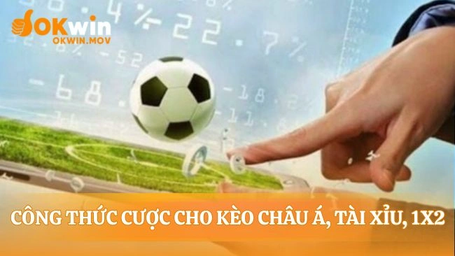 Tấm bản đồ dẫn lối cho từng quyết định cược