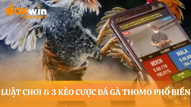 Giải mã ngôn ngữ của những trận cựa sắt nảy lửa