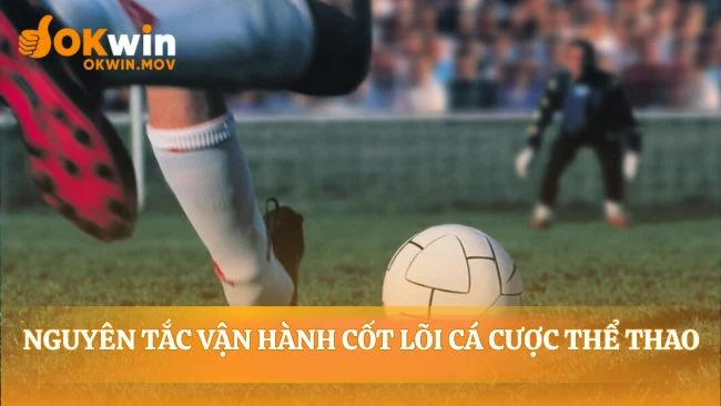 Quy luật vô hình định đoạt mọi cuộc chơi
