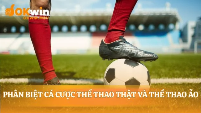 Hai thế giới cá cược thể thao song song tồn tại