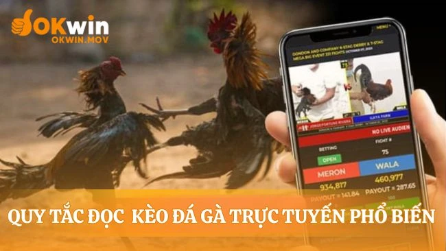 Ba kèo cược định hình đá gà trực tiếp trên mạng
