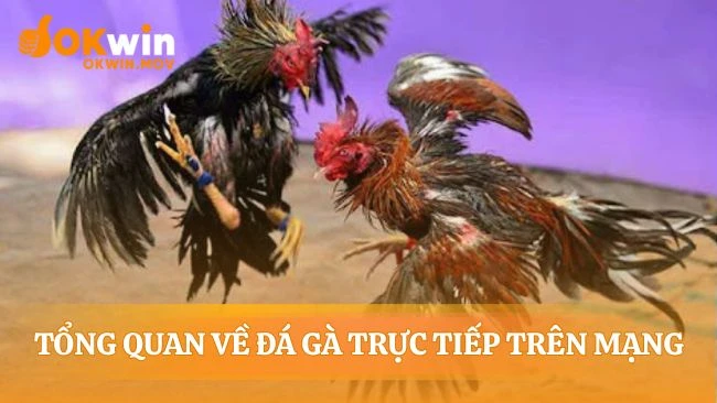 Công nghệ xóa nhòa khoảng cách giữa bạn và sới gà
