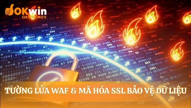 Cách bảo vệ mọi giao dịch và thông tin