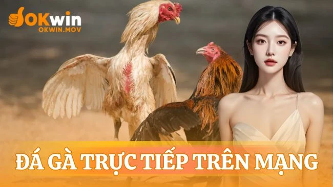 Đá gà trực tiếp trên mạng